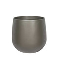 Paunch Pot Planter - Small - Evergreen Walls