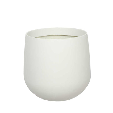 Paunch Pot Planter - Small - Evergreen Walls