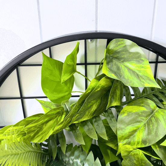 Planter Discs - Evergreen Walls