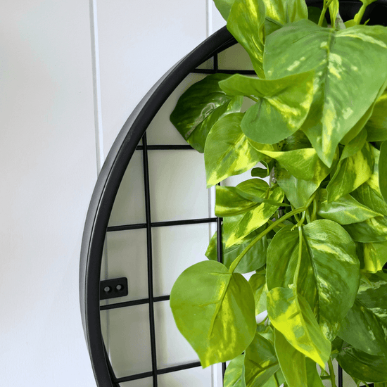 Planter Discs - Evergreen Walls