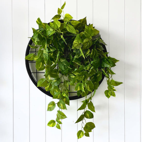 Planter Discs - Evergreen Walls