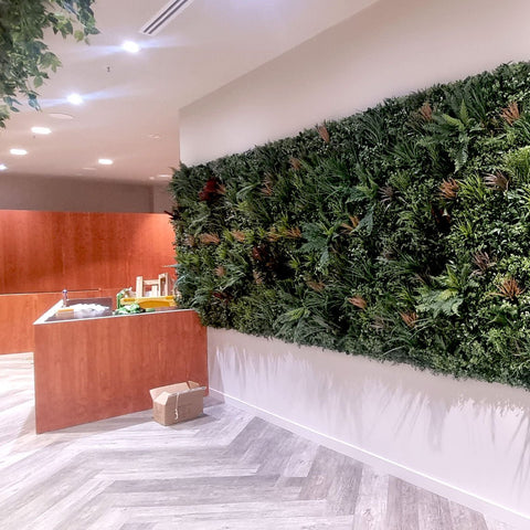 Premium Amazon - Evergreen Walls