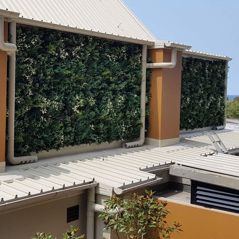 Premium Autumn - Evergreen Walls