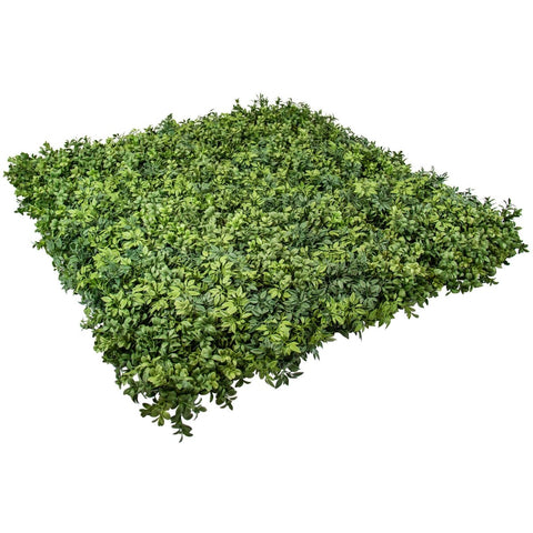 Premium Hedge - Evergreen Walls