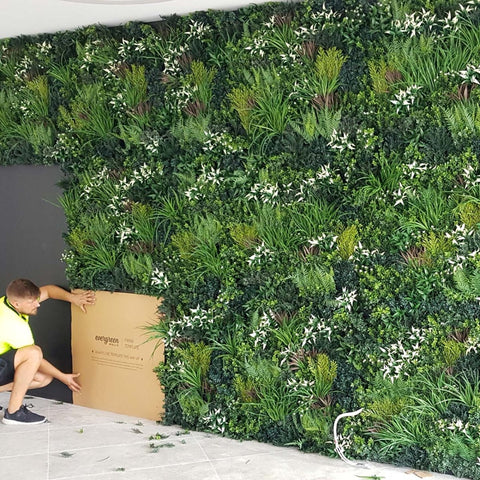 Premium Spring - Evergreen Walls