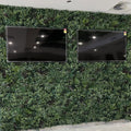 Premium Spring - Evergreen Walls