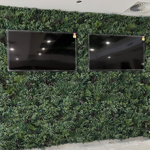 Premium Spring - Evergreen Walls