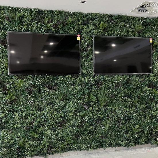 Premium Spring - Evergreen Walls