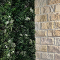 Premium Spring - Evergreen Walls