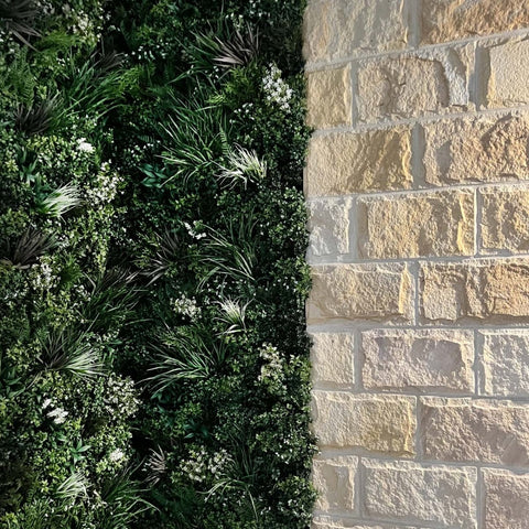 Premium Spring - Evergreen Walls