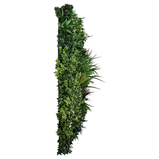 Premium Spring - Evergreen Walls