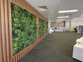 Evergreen Premium | Evergreen Walls