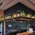 Syngonium Hanging Bush 76cmL - Evergreen Walls