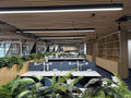 Syngonium Hanging Bush Dark Green 80cml - Evergreen Walls
