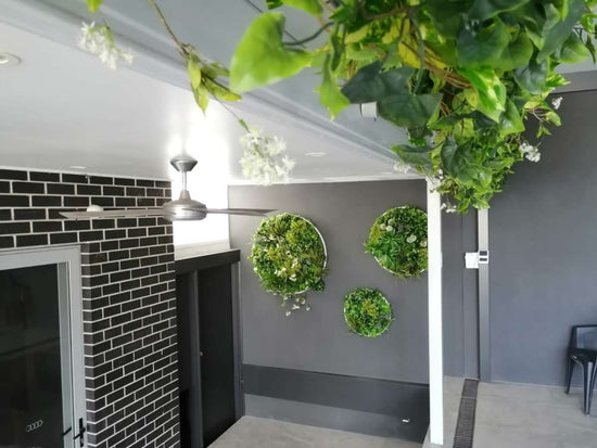 Triple Disc Bundle - 3 x Bloom (S,M,L) - Evergreen Walls
