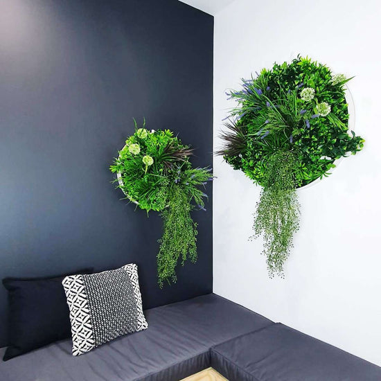 Triple Disc Bundle - 3 x Bloom (S,M,L) - Evergreen Walls