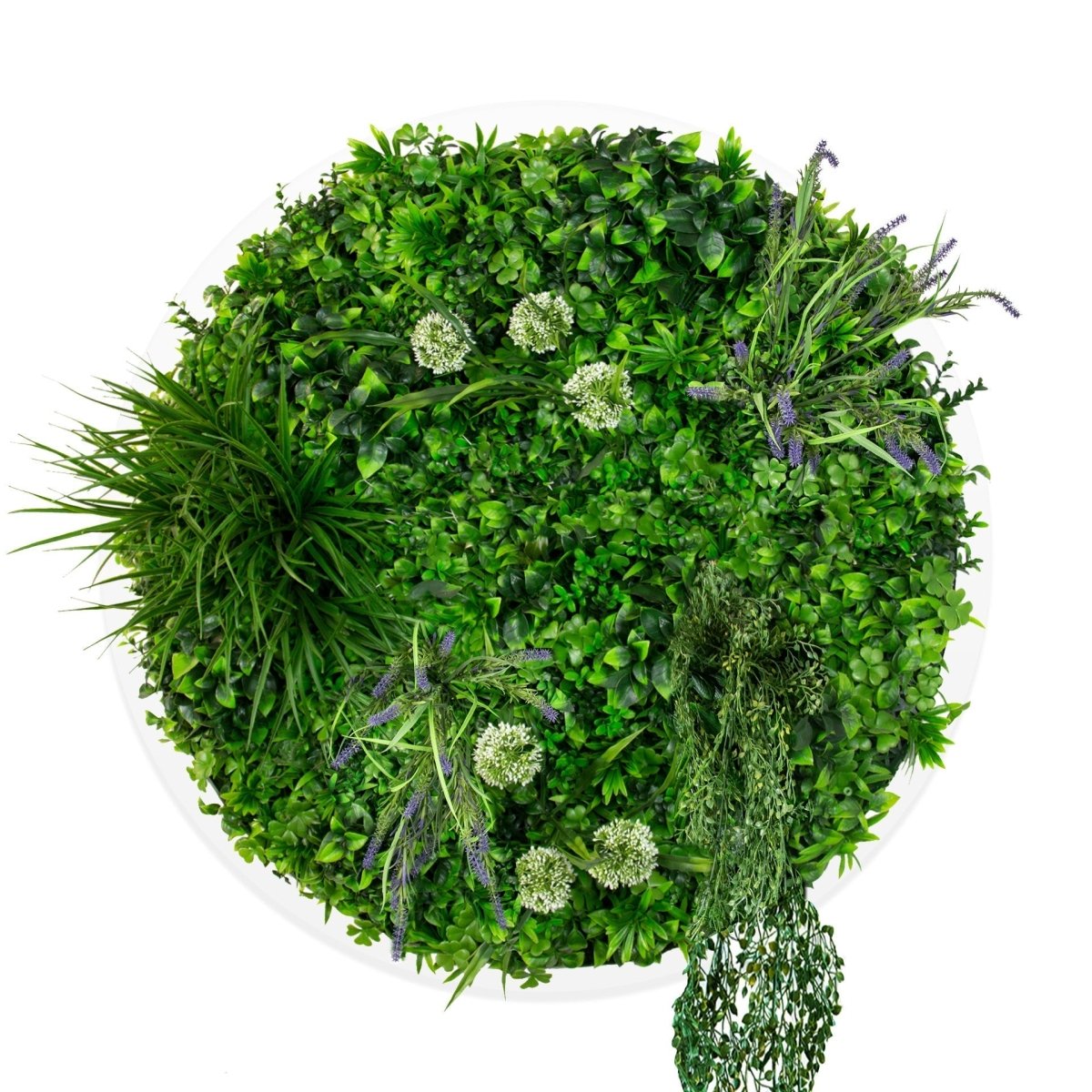 Triple Disc Bundle - 3 x Bloom (S,M,L) - Evergreen Walls