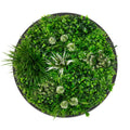 Triple Disc Bundle - 3 x Blossom (S,M,L) - Evergreen Walls