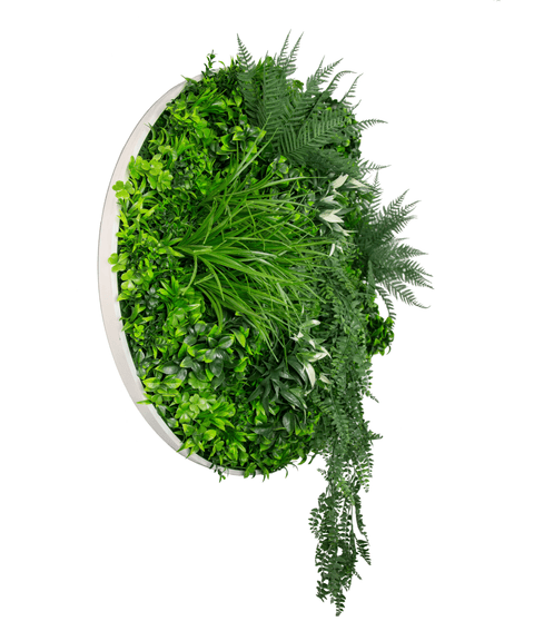 Triple Disc Bundle - 3 x Garden (S,M,L) - Evergreen Walls