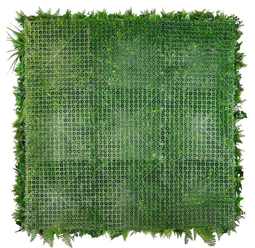 Urban Rainforest Indoor - Evergreen Walls