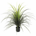 Yucca Grass Plant UV - Evergreen Walls