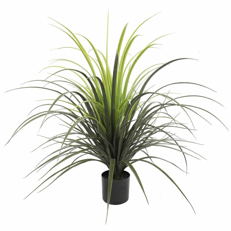 Yucca Grass Plant UV - Evergreen Walls