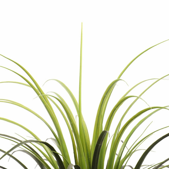 Yucca Grass Plant UV - Evergreen Walls