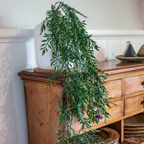 Evergreen Ferns Hanging Bush