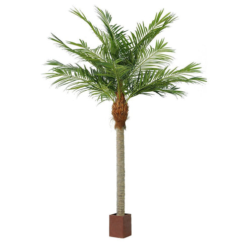 Giant Majesty Palm Tree 490cm