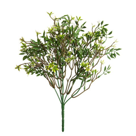 Star of Jasmine Bush (UV)