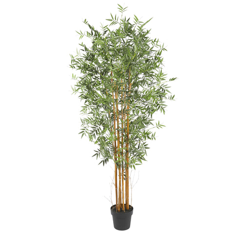 Bamboo Plant UV 180cm