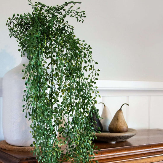 Angel Vine Hanging Bush 110cm (UV) - Evergreen Walls