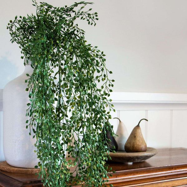 angel hanging plant Angel Vine Hanging Bush 110cm (UV) – Evergreen Walls