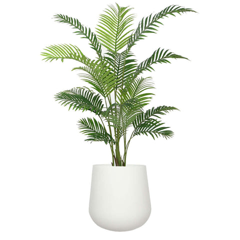 Areca Palm and Paunch Pot Bundle