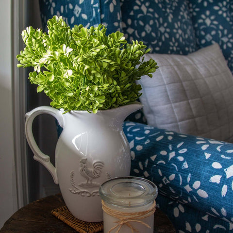 Baby Tears Bush Light Green (UV) - Evergreen Walls