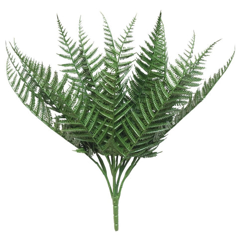 Boston Fern 37cm (UV) - Evergreen Walls