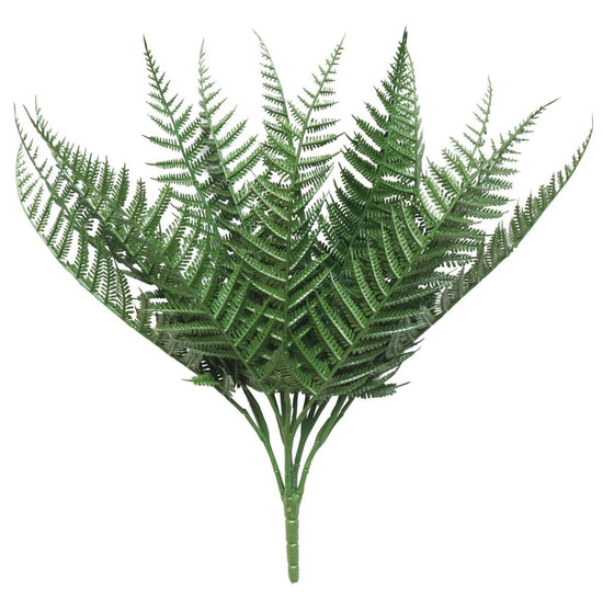 Boston Fern 37cm (UV) - Evergreen Walls