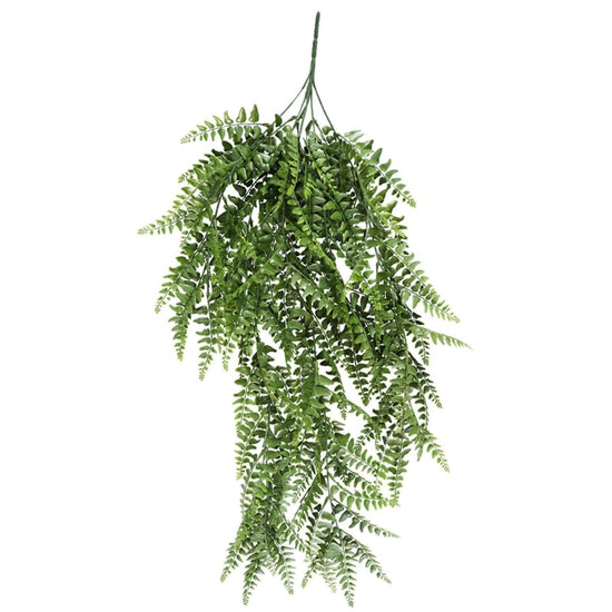 Boston Fern Hanging Bush 110cm - Evergreen Walls