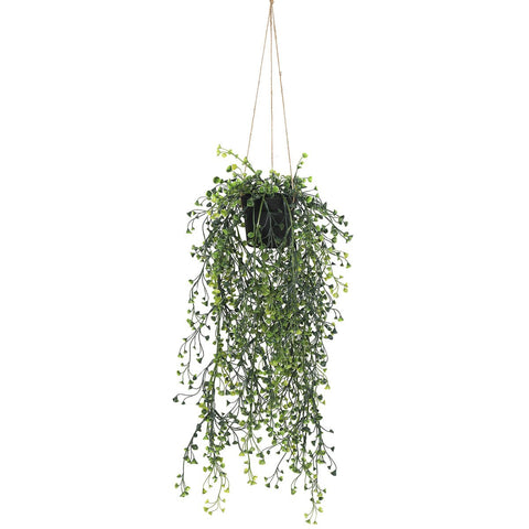 Button Fern Hanging Pot (UV) - Evergreen Walls