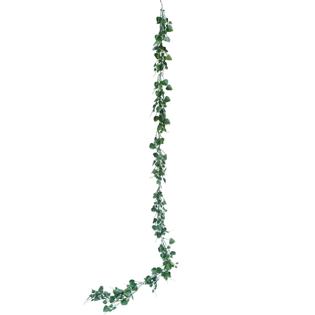 Chain of Hearts Vine - Evergreen Walls