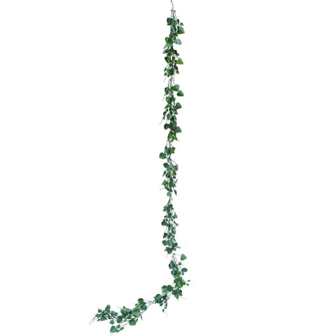 Chain of Hearts Vine - Evergreen Walls