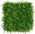 Classic Ferns - Evergreen Walls