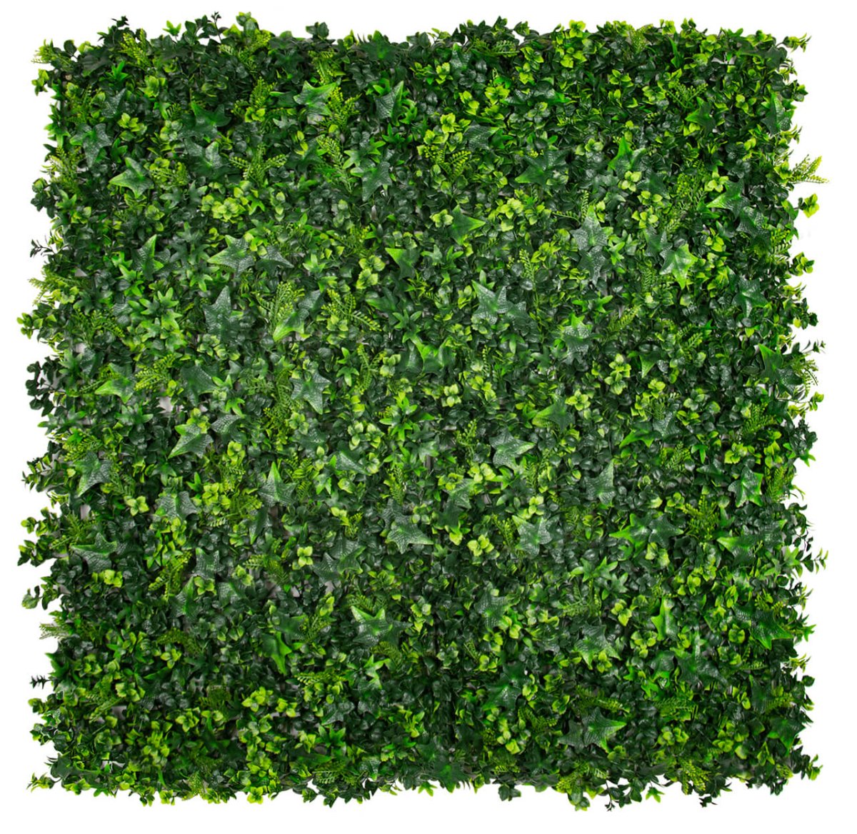 Classic Ivy - Evergreen Walls
