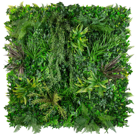 Coastal Crimson - Evergreen Walls