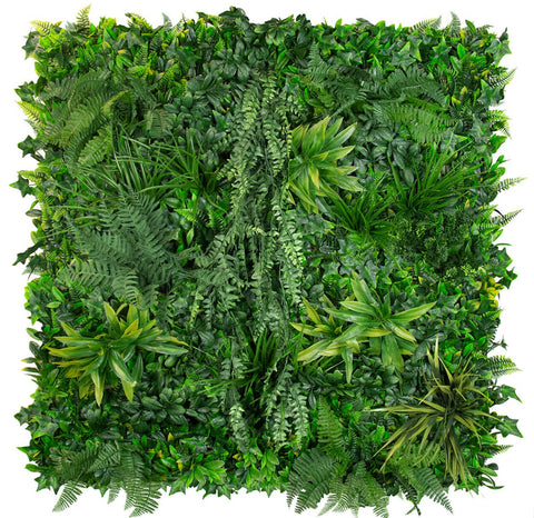 Coastal Forest - Evergreen Walls