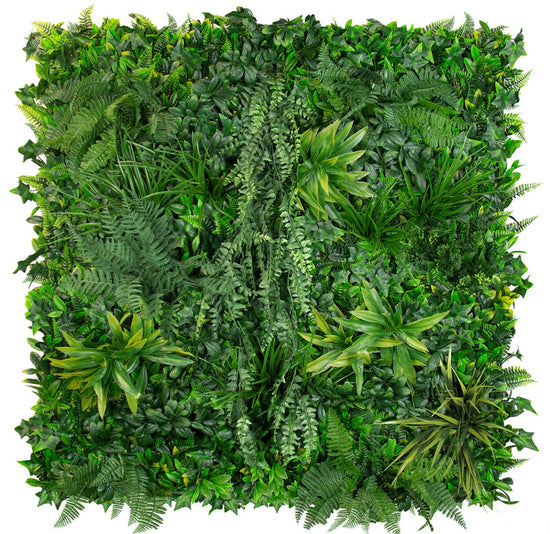 Coastal Forest - Evergreen Walls