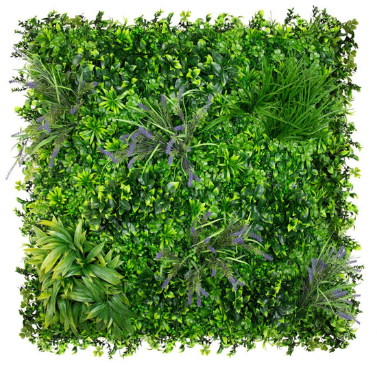 Country Lavender - Evergreen Walls