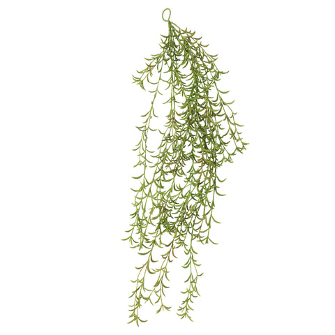 Succulent Hanging Bush 75cm