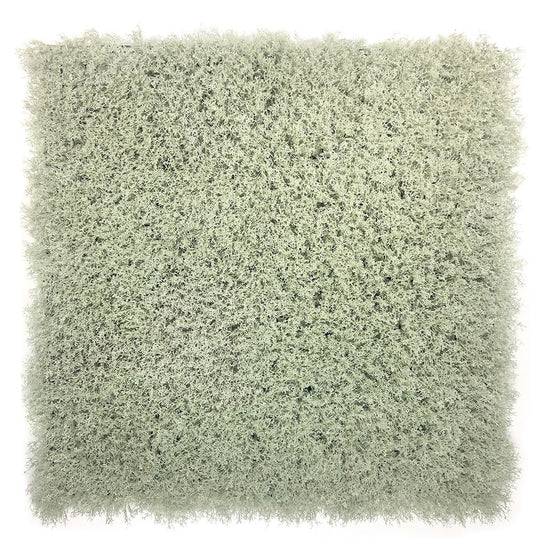Evergreen Moss London Fog - Evergreen Walls