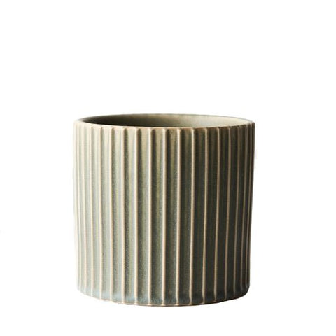 Evergreen Sage Pot 15cmh - Evergreen Walls